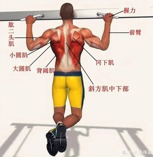 现代园林景观设计特点包括